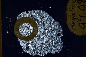 Cross Polarized, S11055