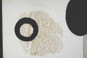 Plane Polarized, S11055