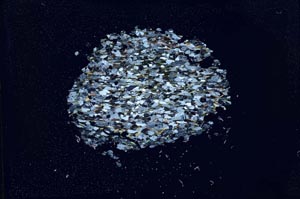 Cross Polarized, S11056