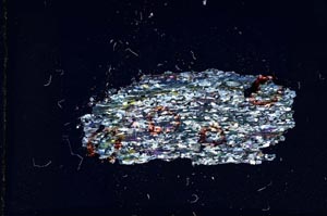 Cross Polarized, S11058