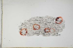 Plane Polarized, S11058