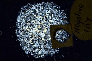 Cross Polarized, S11059