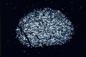 Cross Polarized, S11060