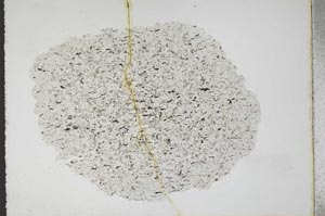 Plane Polarized, S11061