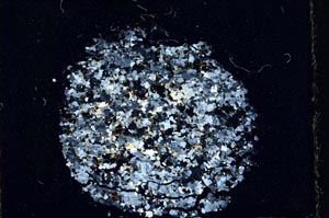 Cross Polarized, S11062