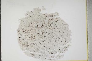 Plane Polarized, S11062