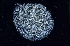 Cross Polarized, S11065