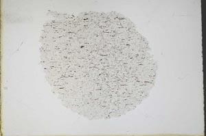 Plane Polarized, S11065