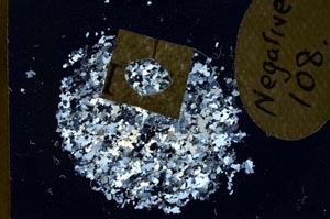 Cross Polarized, S11066