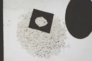 Plane Polarized, S11066