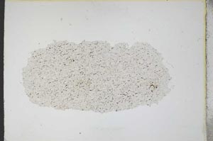 Plane Polarized, S11068