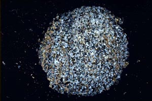 Cross Polarized, S11077