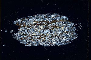 Cross Polarized, S11078