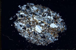 Cross Polarized, S11079