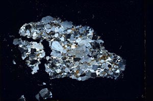 Cross Polarized, S11080