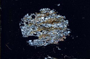 Cross Polarized, S11081