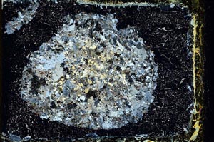 Cross Polarized, S11083