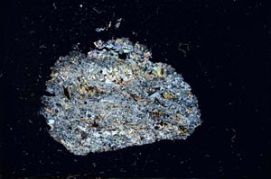 Cross Polarized, S11084