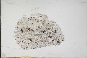 Plane Polarized, S11084