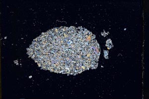 Cross Polarized, S11085