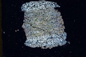 Cross Polarized, S11086