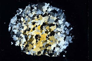 Cross Polarized, S11087