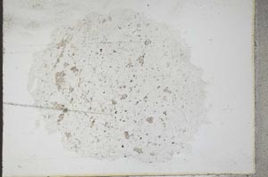 Plane Polarized, S11087