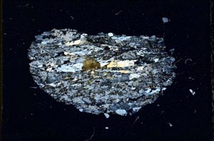 Cross Polarized, S11088