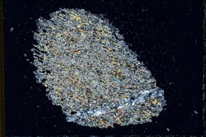 Cross Polarized, S11089