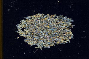 Cross Polarized, S11090