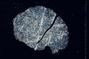 Cross Polarized, S11091