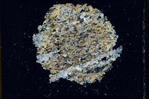 Cross Polarized, S11092