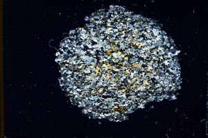 Cross Polarized, S11093