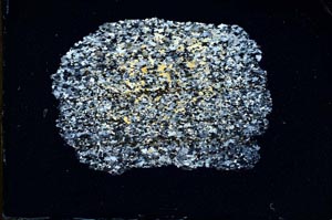 Cross Polarized, S11094