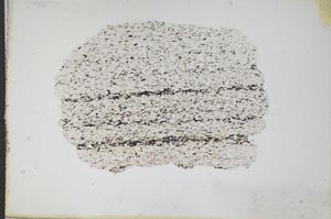 Plane Polarized, S11094