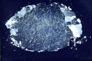 Cross Polarized, S11095