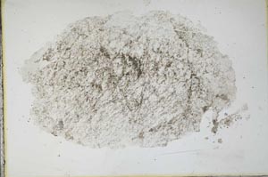 Plane Polarized, S11095