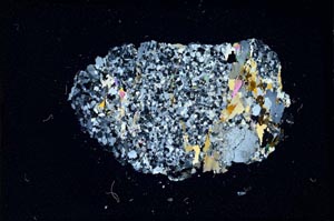 Cross Polarized, S11097