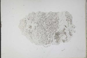 Plane Polarized, S11097