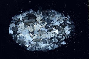 Cross Polarized, S11098