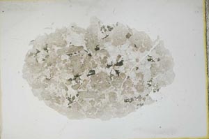 Plane Polarized, S11098