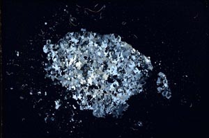 Cross Polarized, S11101