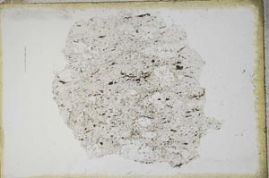 Plane Polarized, S11103
