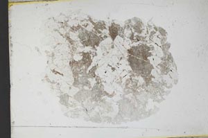 Plane Polarized, S11114