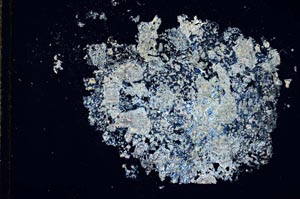 Cross Polarized, S11126