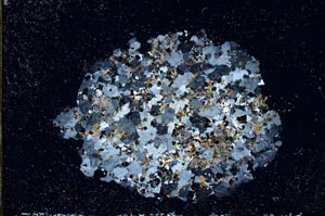 Cross Polarized, S11127