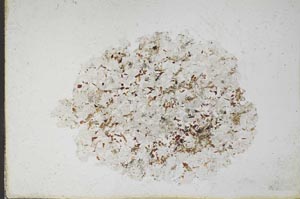 Plane Polarized, S11127