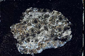 Cross Polarized, S11128/B