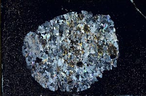 Cross Polarized, S11128/A