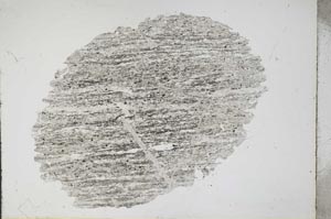 Plane Polarized, S11135